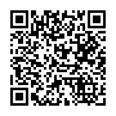 QR code for 3813DE