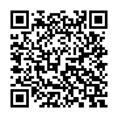 QR code for 3815TS