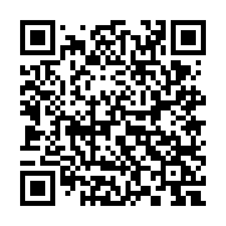 QR code for 3816LG