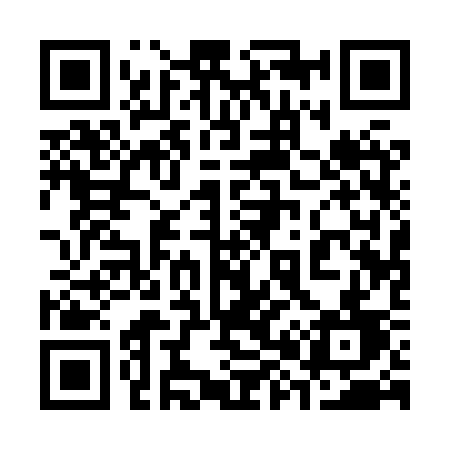 QR code for 3818SD