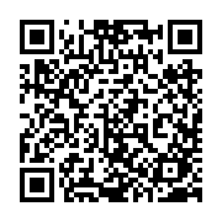 QR code for 3822PO