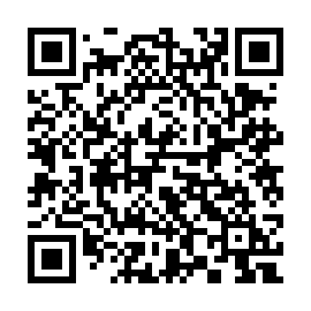 QR code for 3824CI