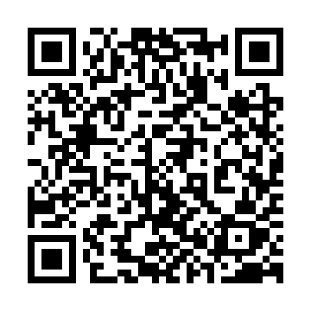 QR code for 3833QZ