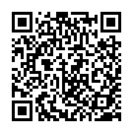 QR code for 3833XI
