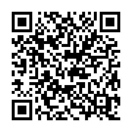 QR code for 3838HD