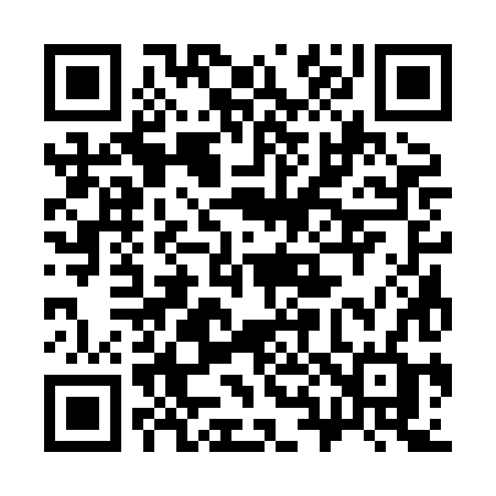 QR code for 3838HF