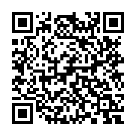 QR code for 3838SL