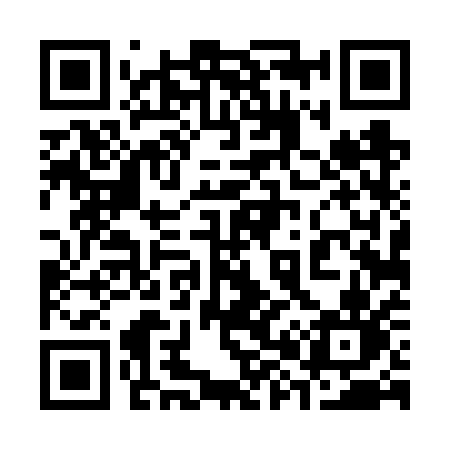 QR code for 3846QN