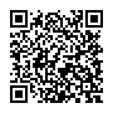 QR code for 3848XO