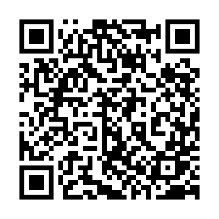 QR code for 3851DP