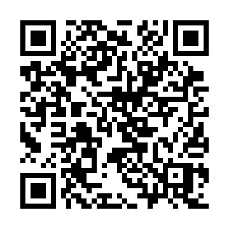 QR code for 3863AP