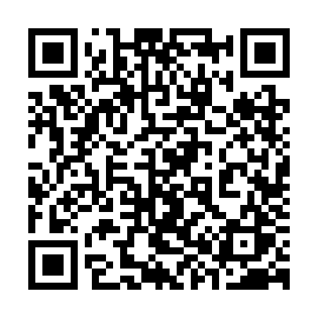 QR code for 3863JS