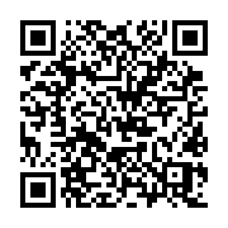 QR code for 3863LP