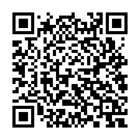 QR code for 3863RT