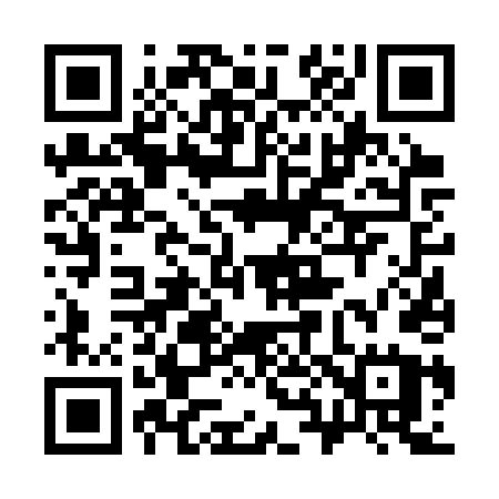 QR code for 3863TU