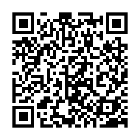 QR code for 3873SI