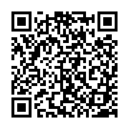 QR code for 3875TI