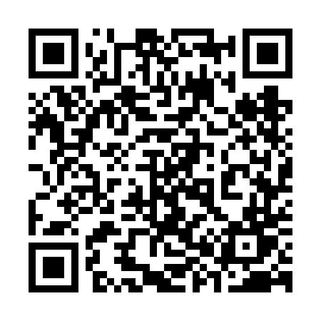 QR code for 3876DT