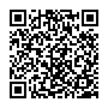 QR code for 3878GT