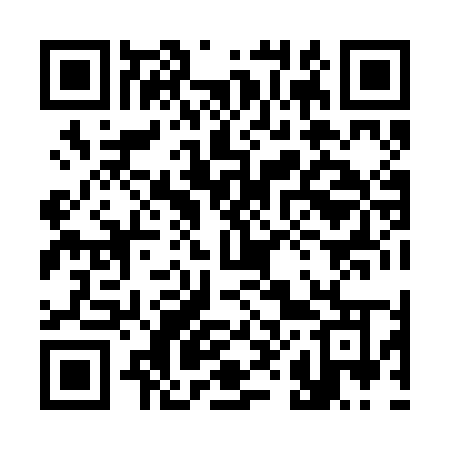 QR code for 3882MO