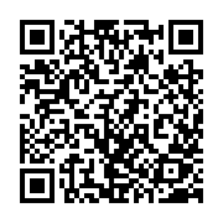 QR code for 3893XZ