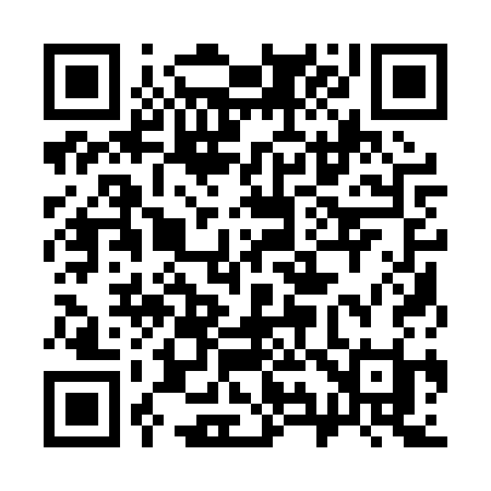 QR code for 3910SI