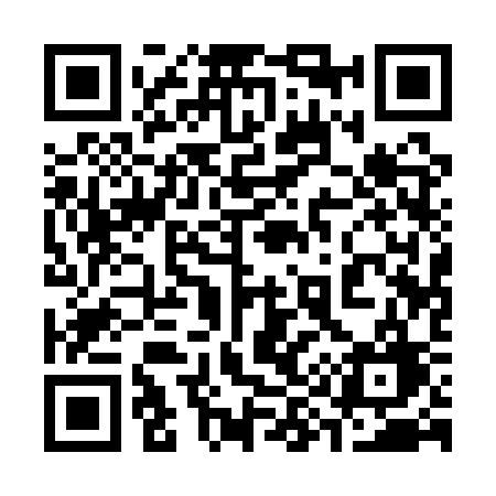 QR code for 3911SG
