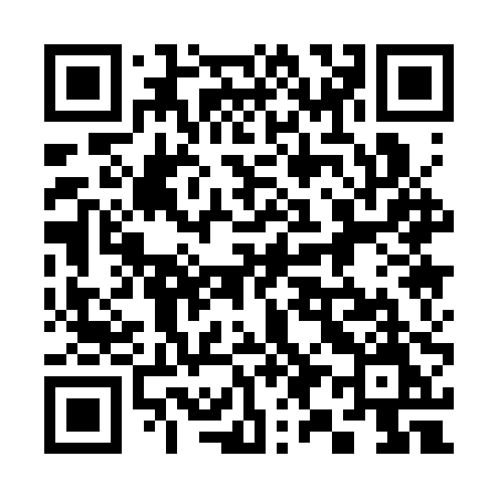 QR code for 3913PM
