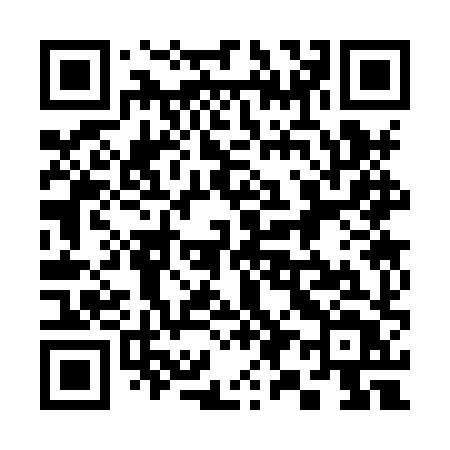 QR code for 3938XT