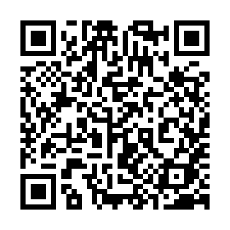 QR code for 3939XI