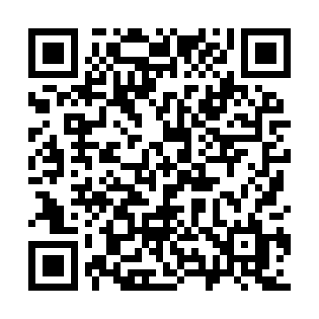 QR code for 3989PL