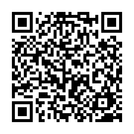 QR code for 3991SG