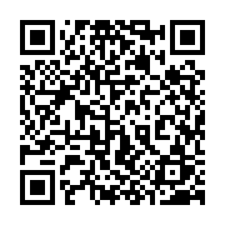 QR code for 3991SR