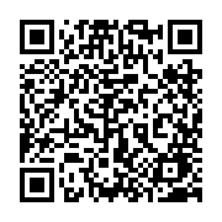 QR code for 3993OG