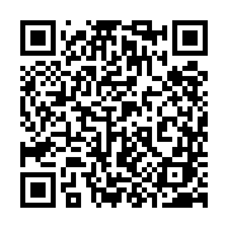 QR code for 3995DH