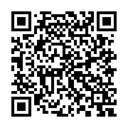 QR code for 3995NY