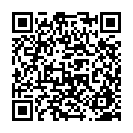 QR code for 4119BG