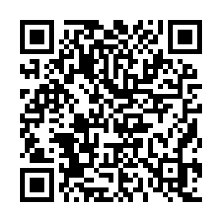QR code for 4119VJ