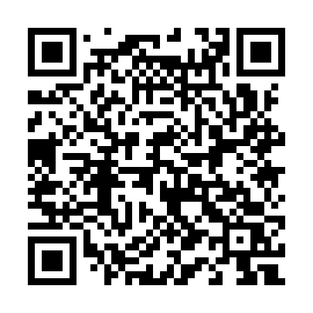 QR code for 4119VS