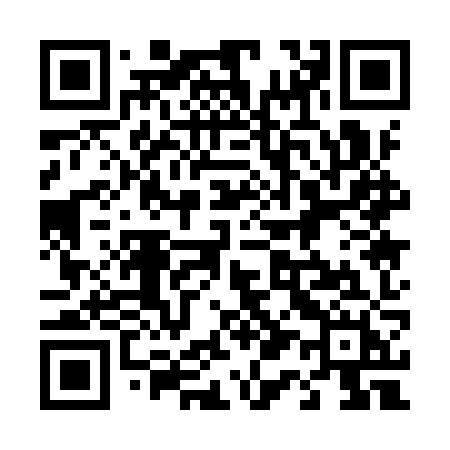 QR code for 4119ZH