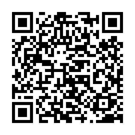 QR code for 4124SP