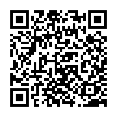 QR code for 4161YQ