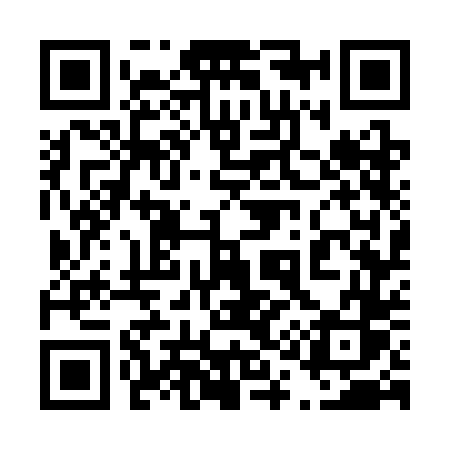 QR code for 4173DS