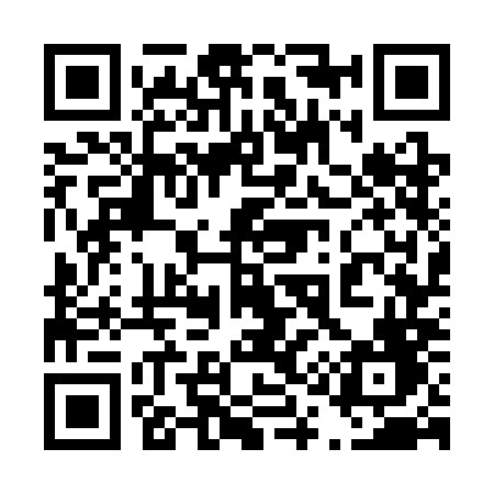 QR code for 4173MF