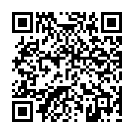 QR code for 4193PX