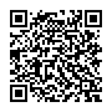 QR code for 4196BR