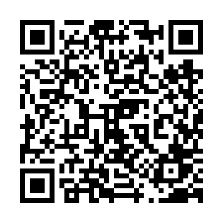 QR code for 4196PV