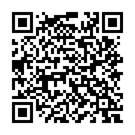 QR code for 4196VE