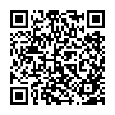 QR code for 4197HD