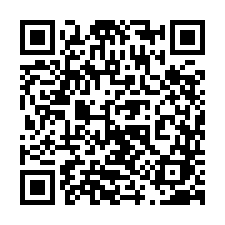 QR code for 4199DK